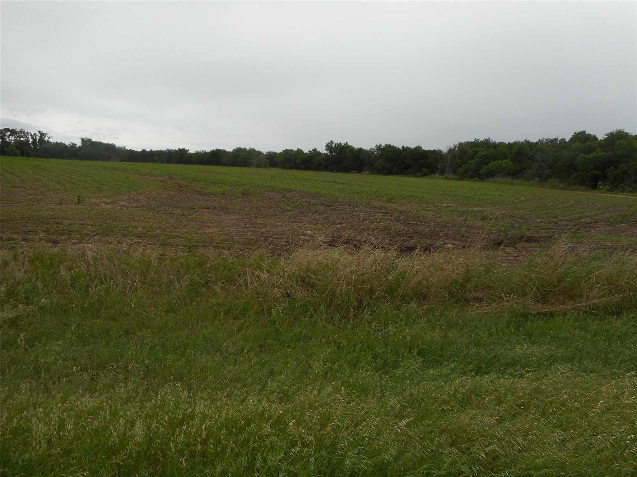 This property features expansive green fields wit