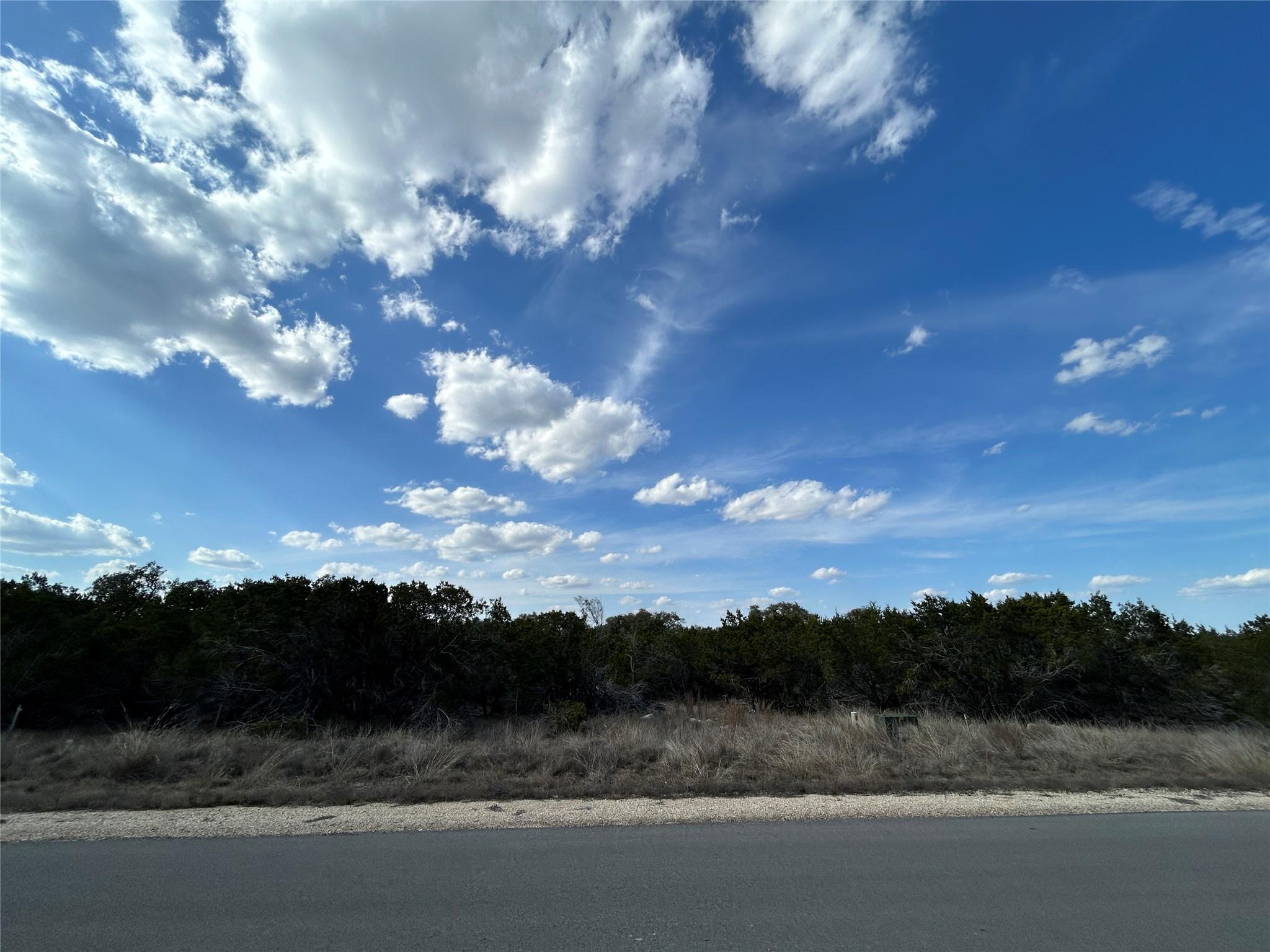 View of road featuring a wooded view