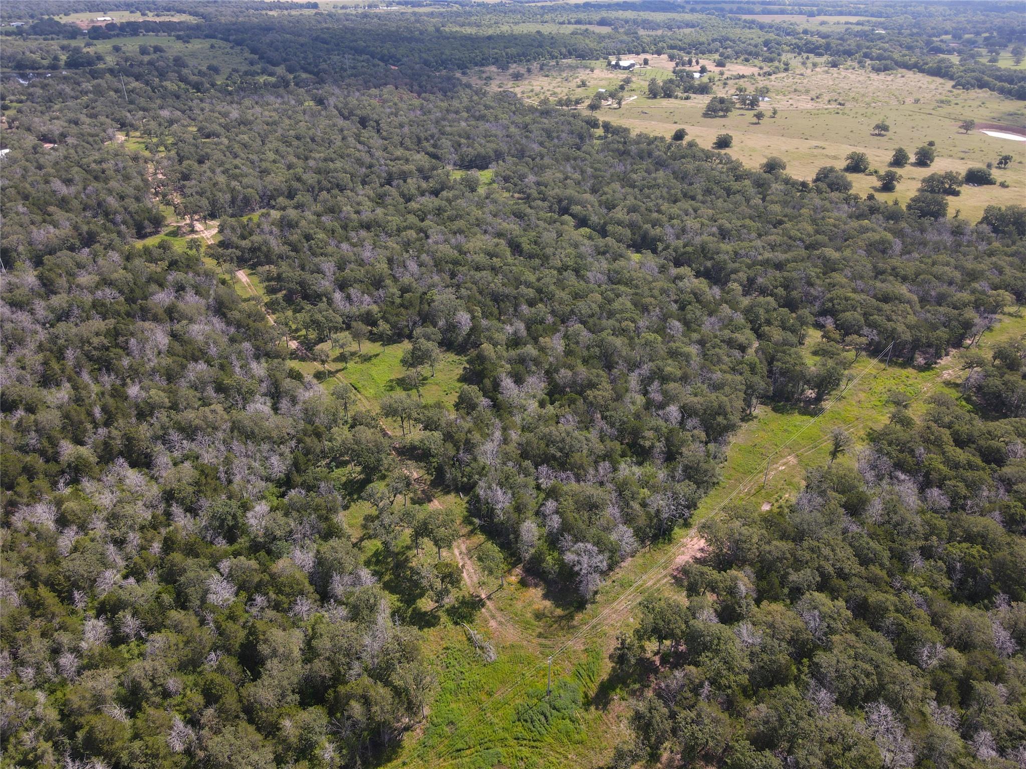 Listing photo 1 of TBD  High Crossing Rd - TRACT 8 None
