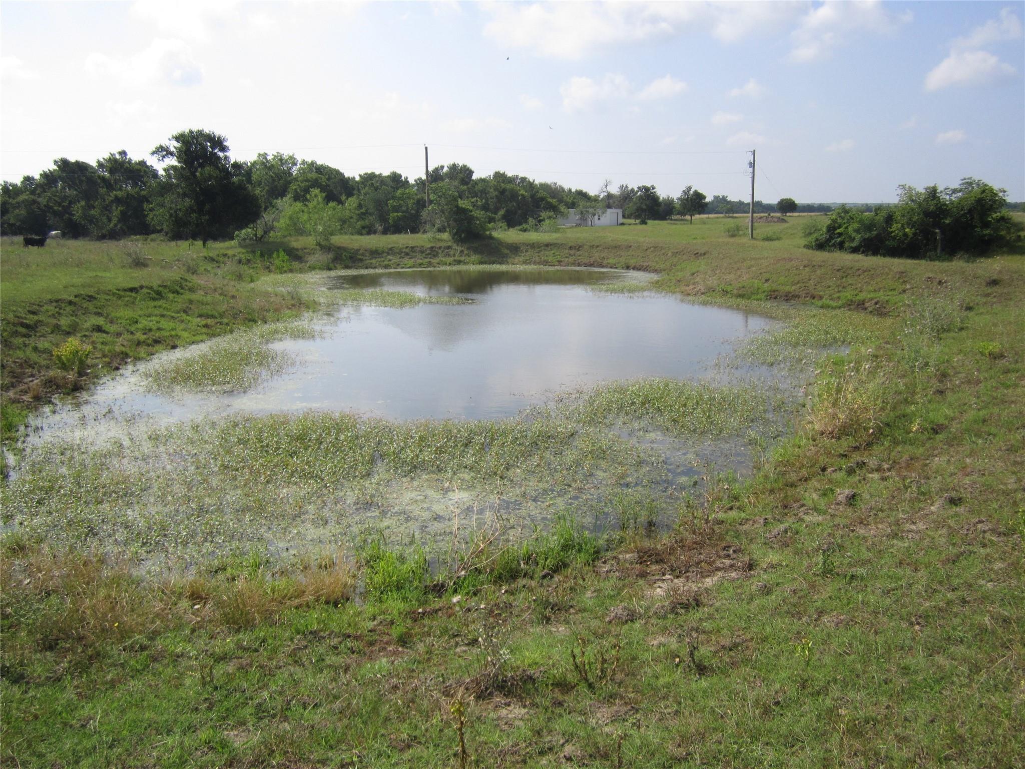 Listing photo 1 of 1602  County Road 470 None