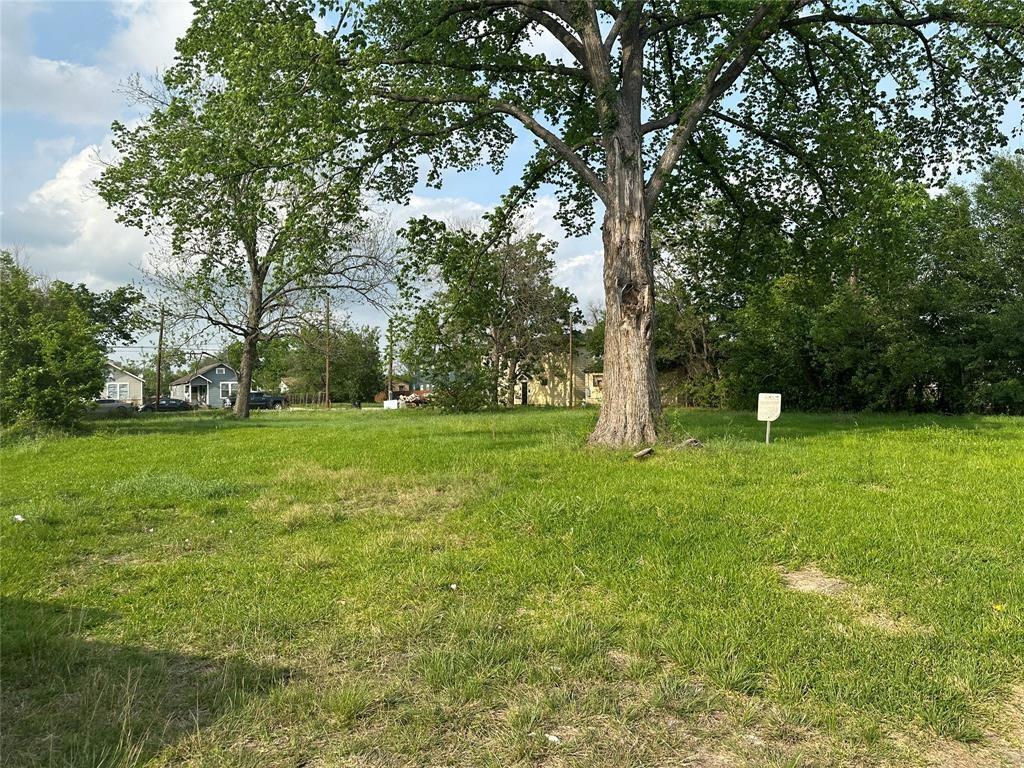 A verdant parcel awaiting your architectural visi