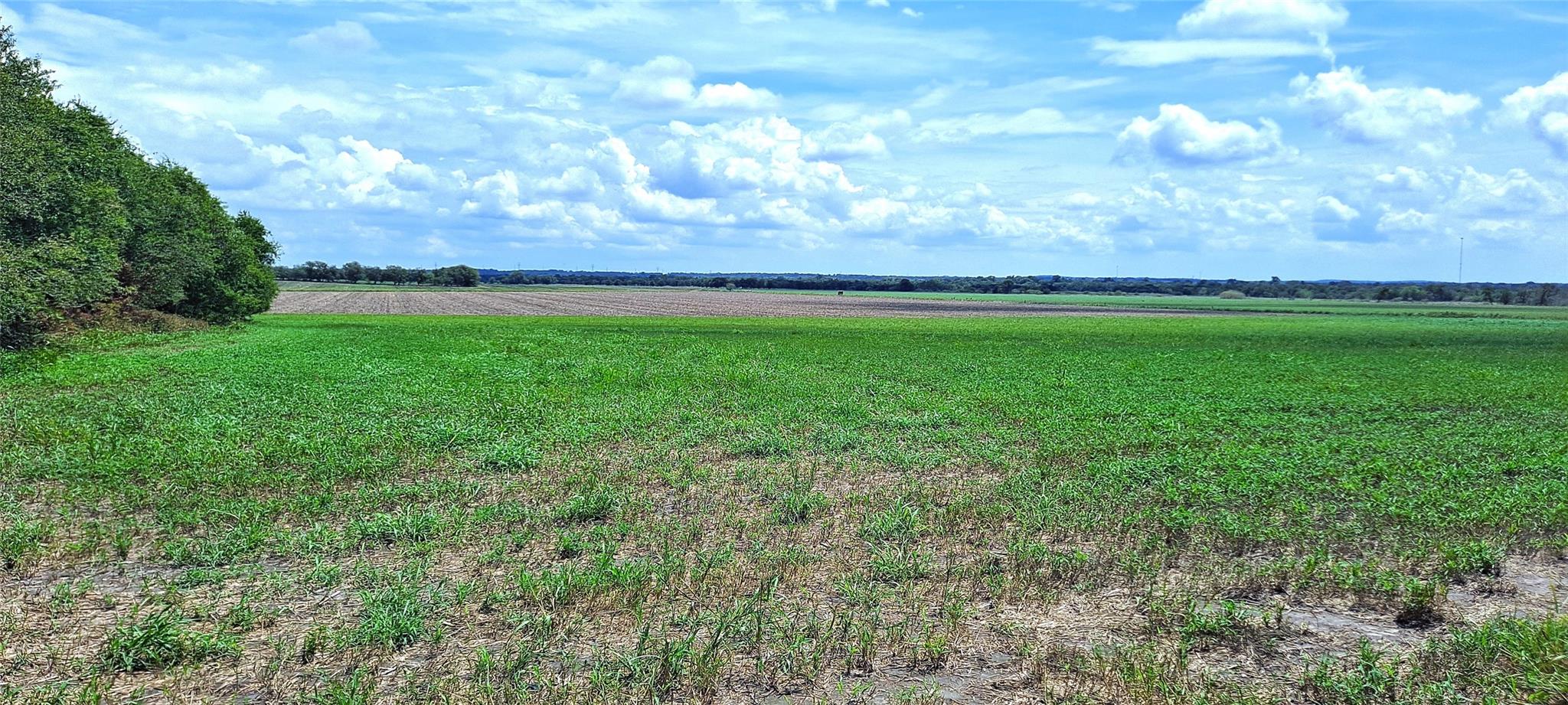 Listing photo 1 of 3135  CR 432 Rd