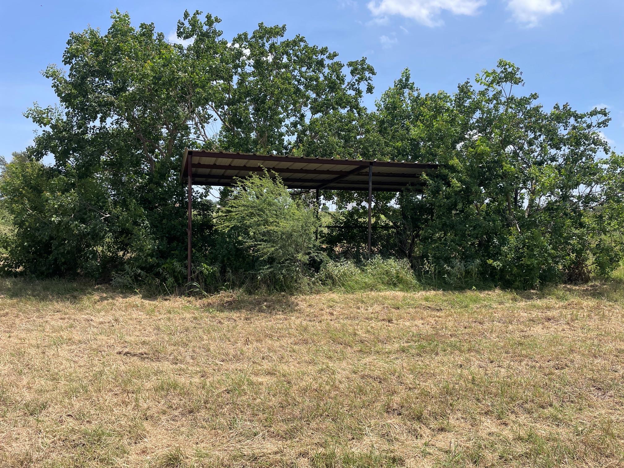 A metal-roofed shelter nestled among mature trees