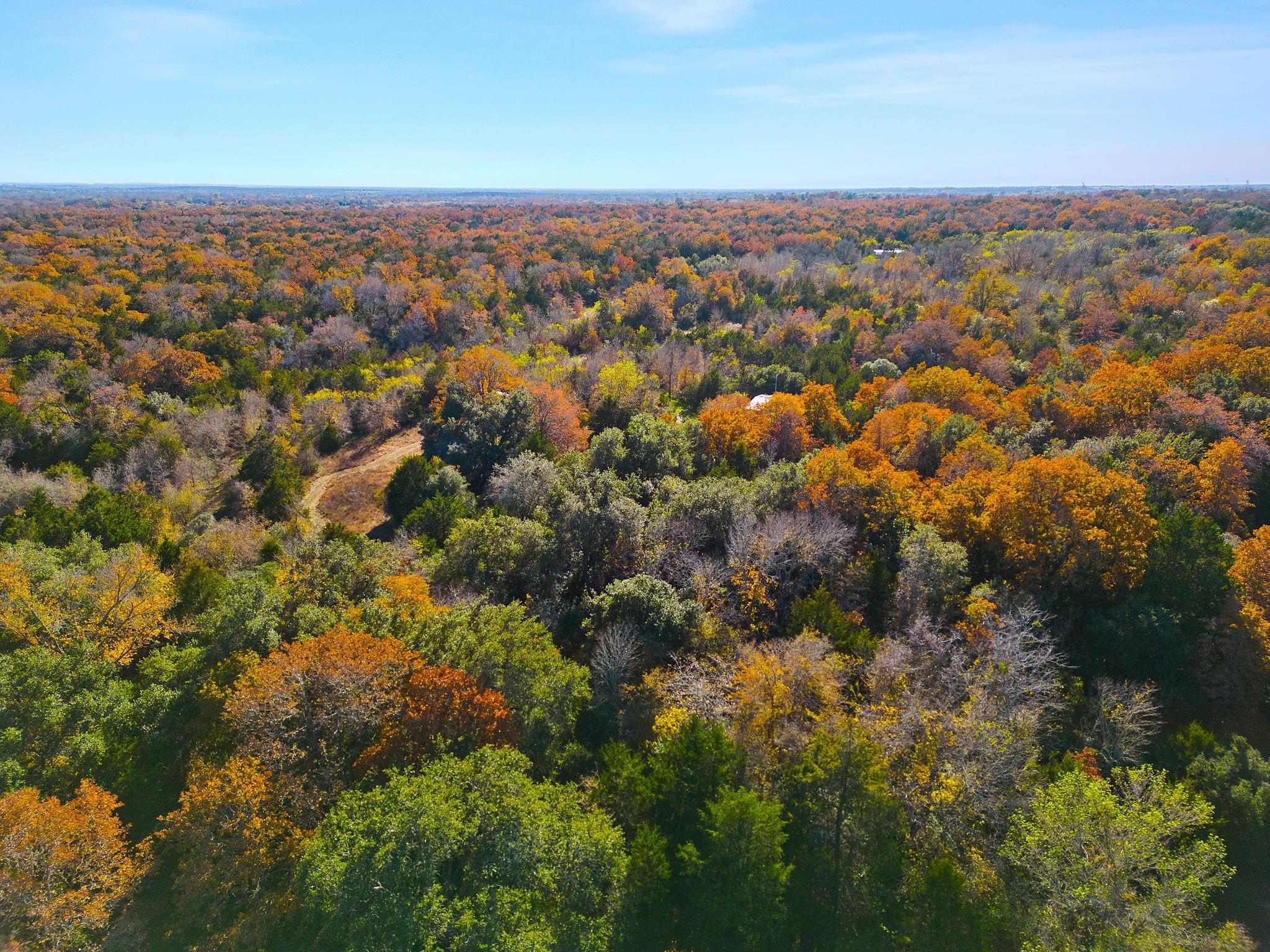 Listing photo 1 of 272  Deadwood Rd