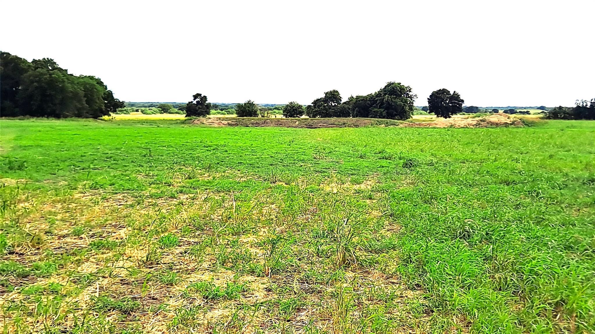 Listing photo 1 of Tract 3  County Road 432 Rd
