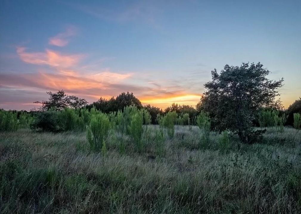 Listing photo 1 of Lot 185  Three Creeks Dr