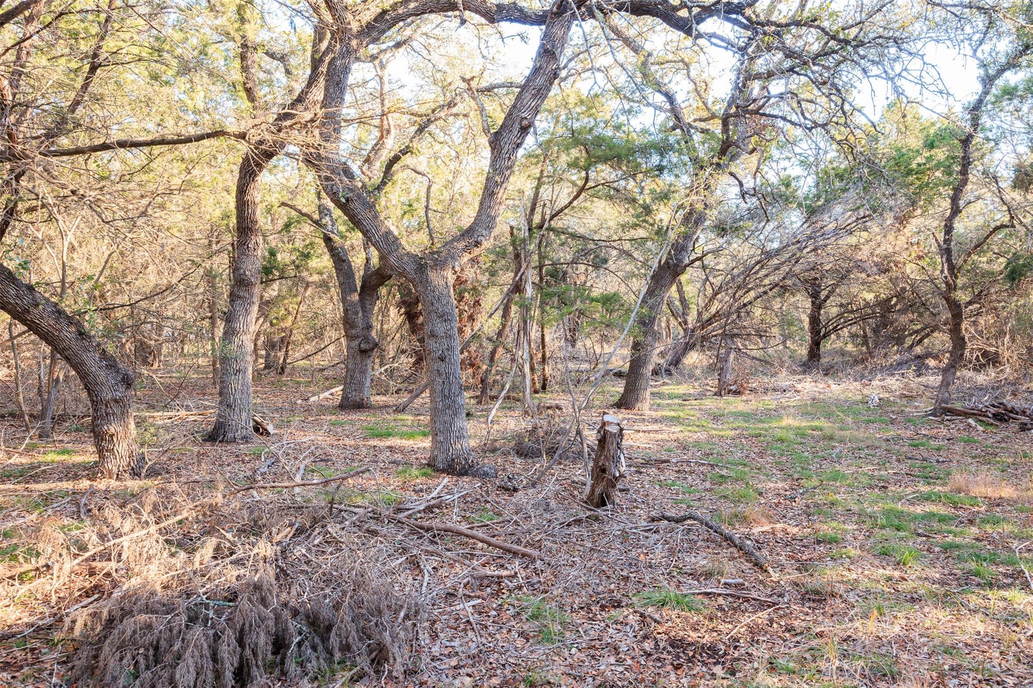 Listing photo 1 of 202,204,208  Thomas Oaks Dr