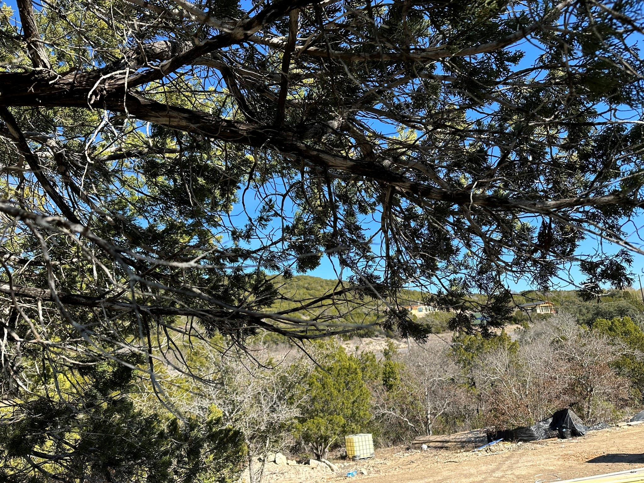 Listing photo 1 of 18502  Roundrock Rd