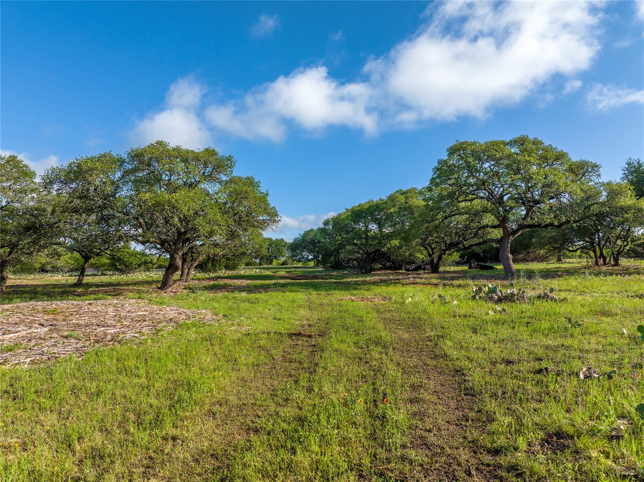 Listing photo 1 of TBD  CR108 None