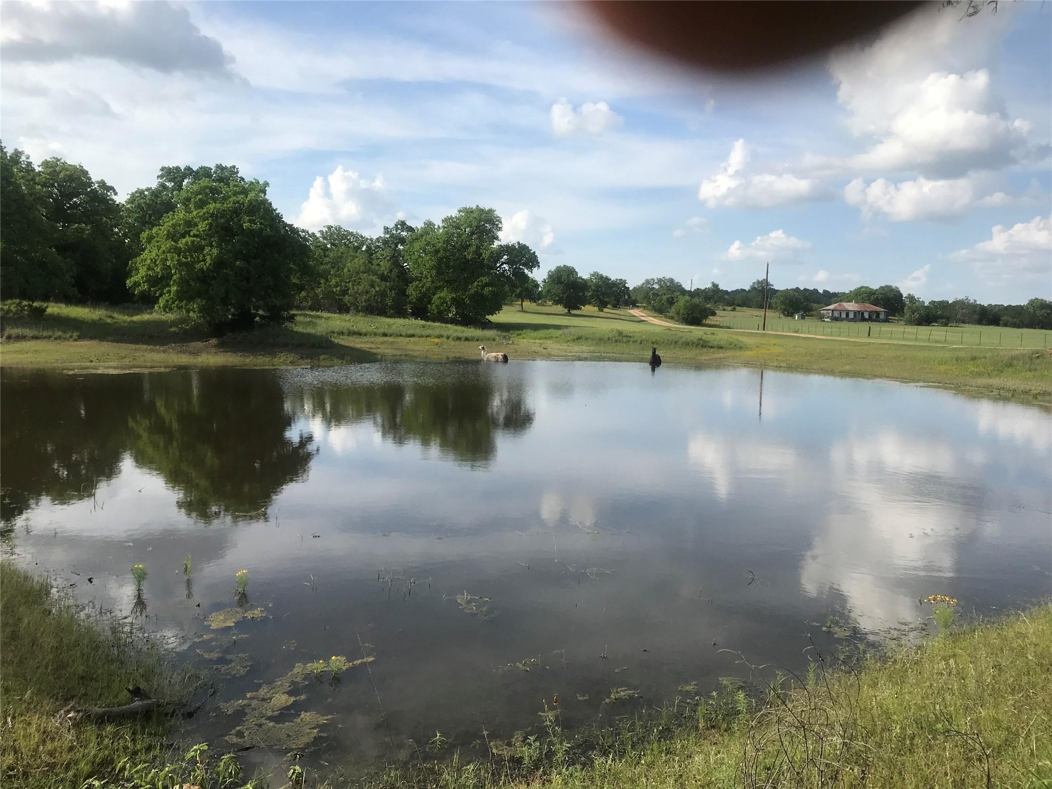 Listing photo 1 of 504  Sandy School Rd
