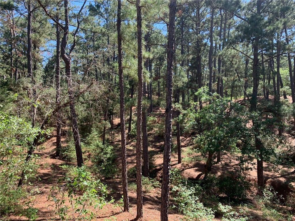 Listing photo 1 of TBD  Wahane Ln