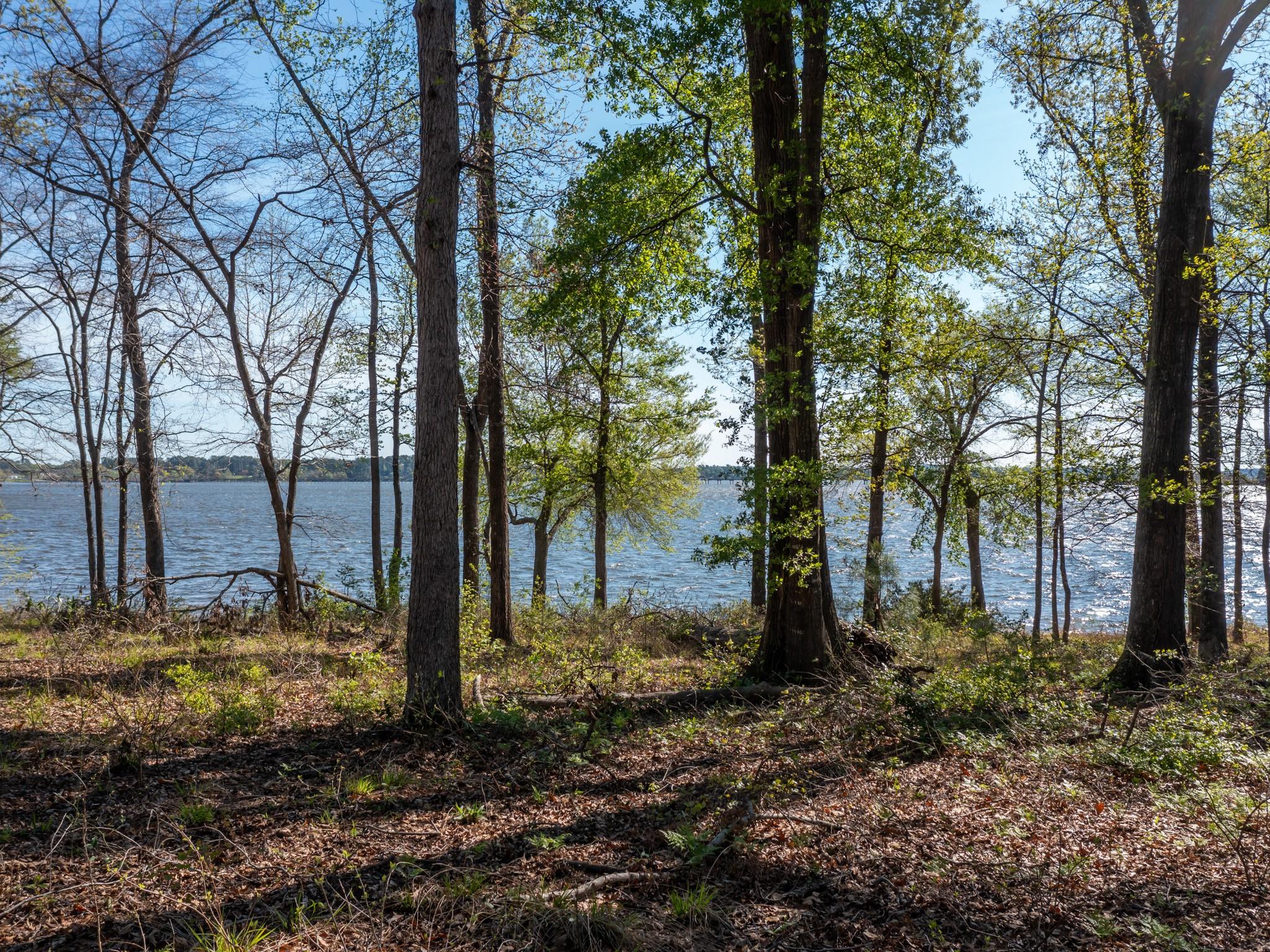 Listing photo 1 of 3108  Shadow Pine Dr