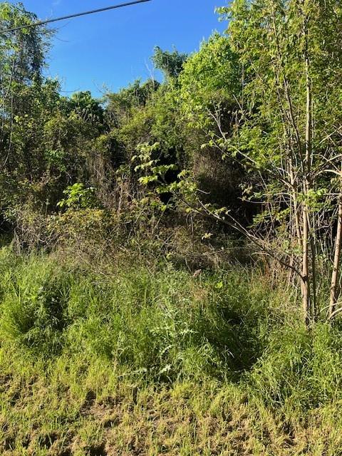 Listing photo 1 of 171  Kahana Ln