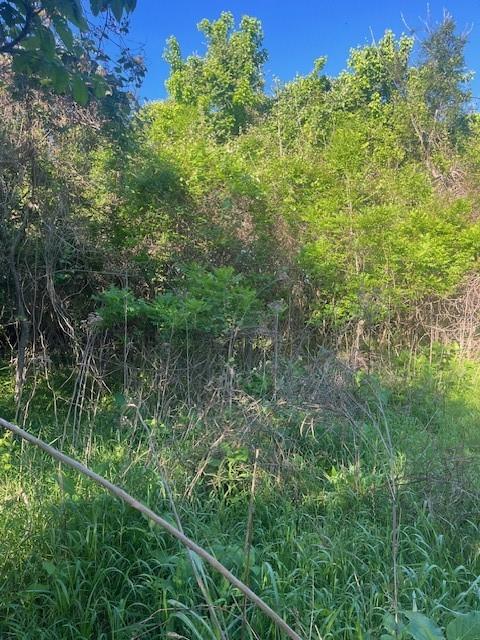 Listing photo 1 of 167  Kahana Ln