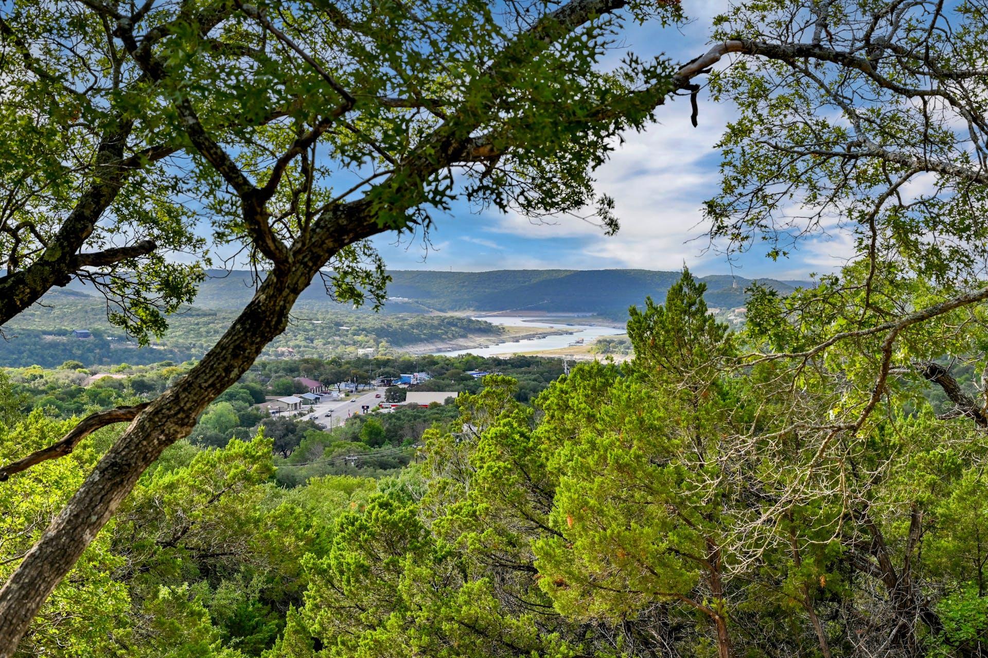 Mature trees frame elevated views overlooking the