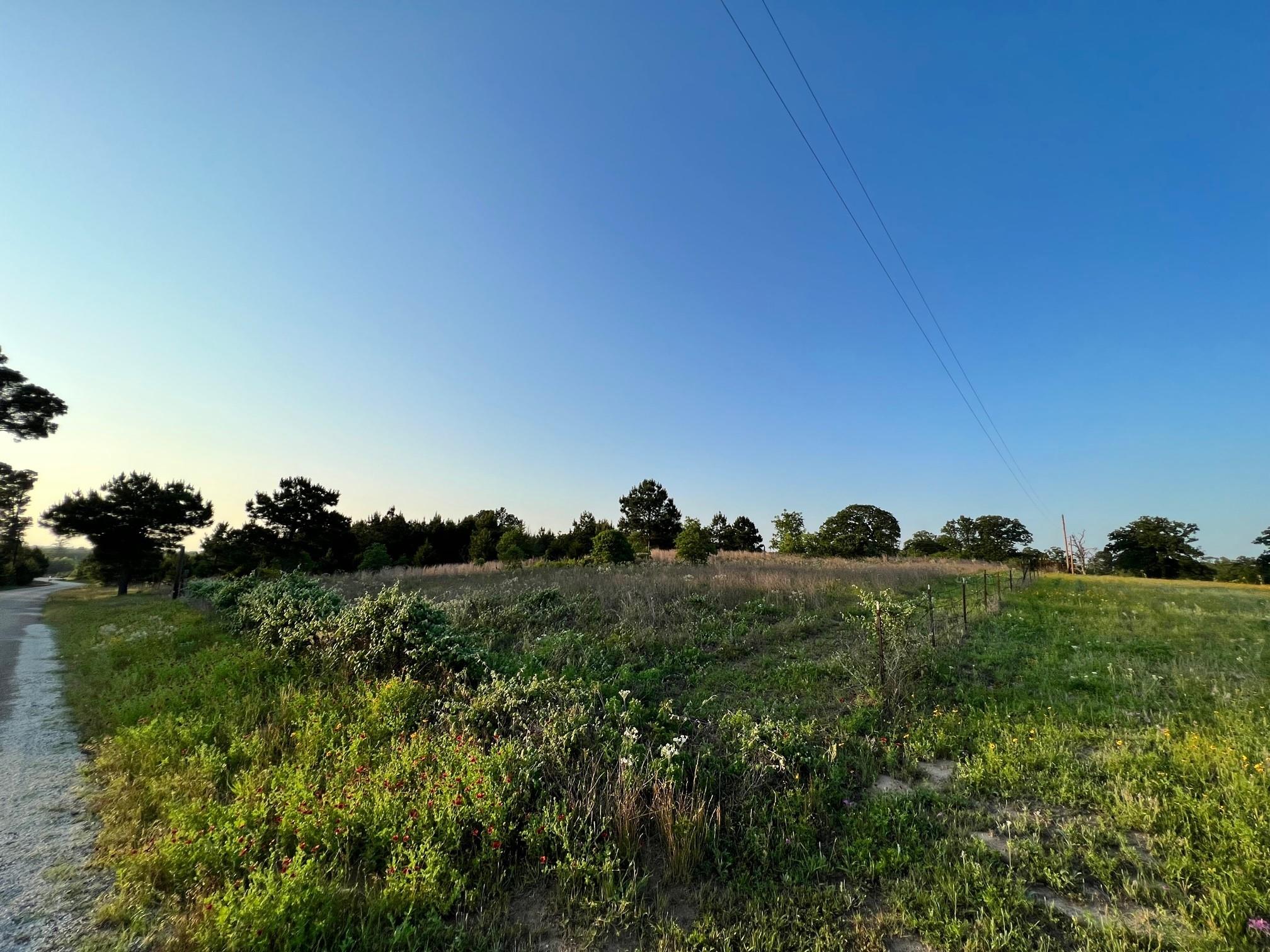 Listing photo 1 of Lot 27  Kinsey Rd None