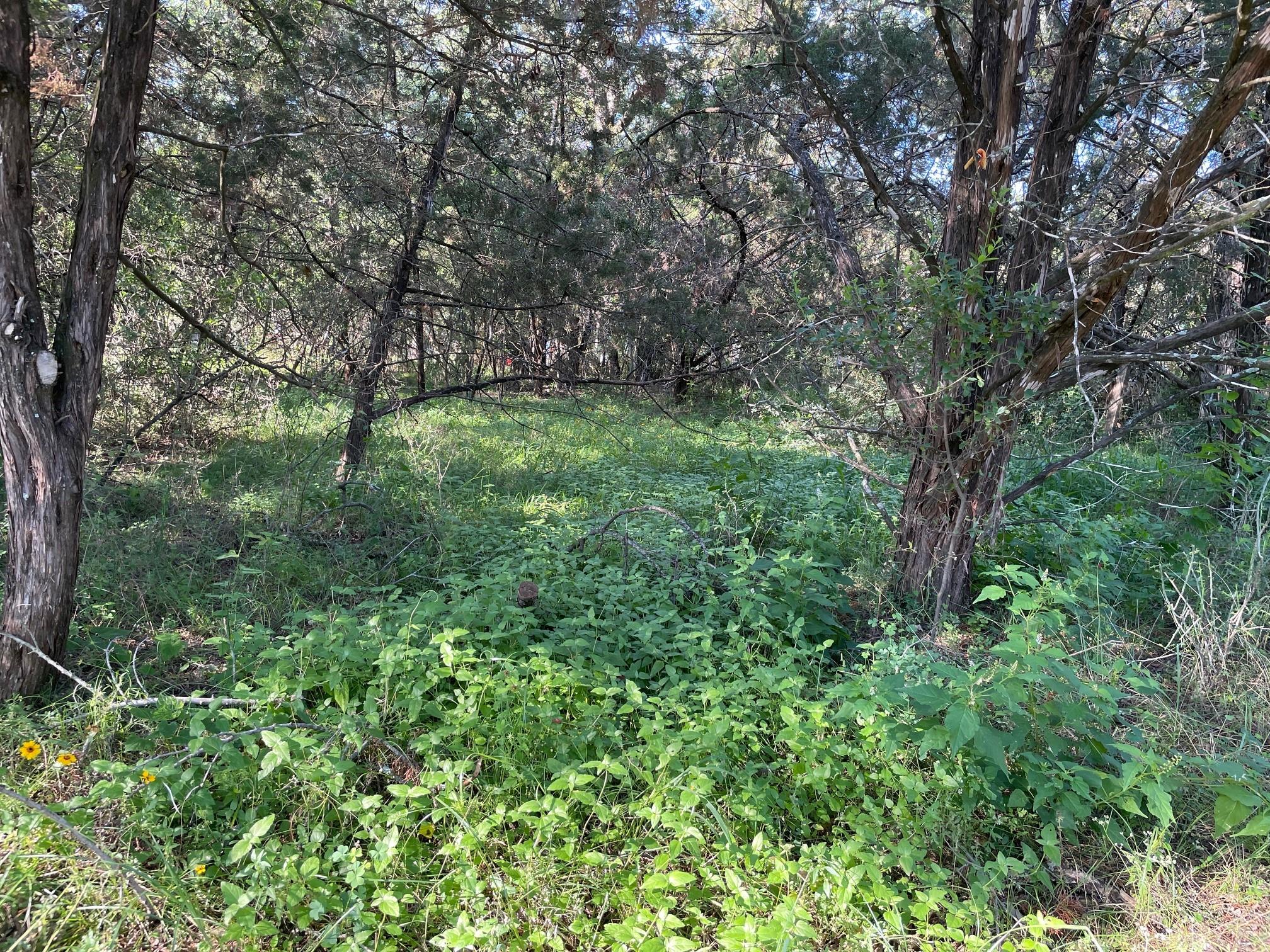 Listing photo 1 of Lot 423  Indian Summer None