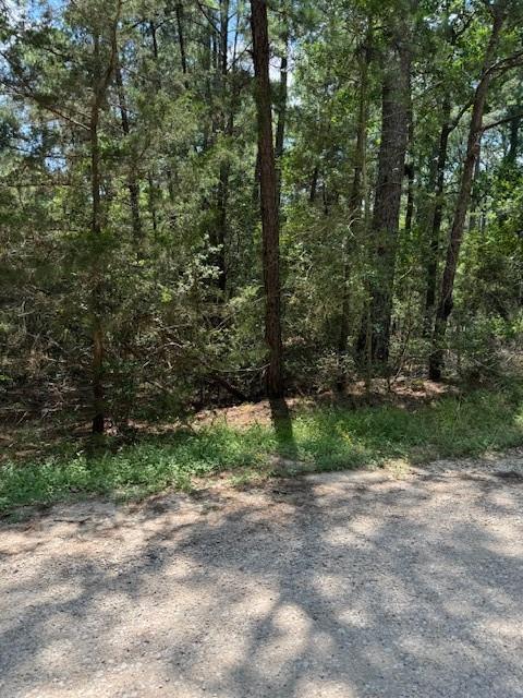 Listing photo 1 of Lot 250  Hekili Dr