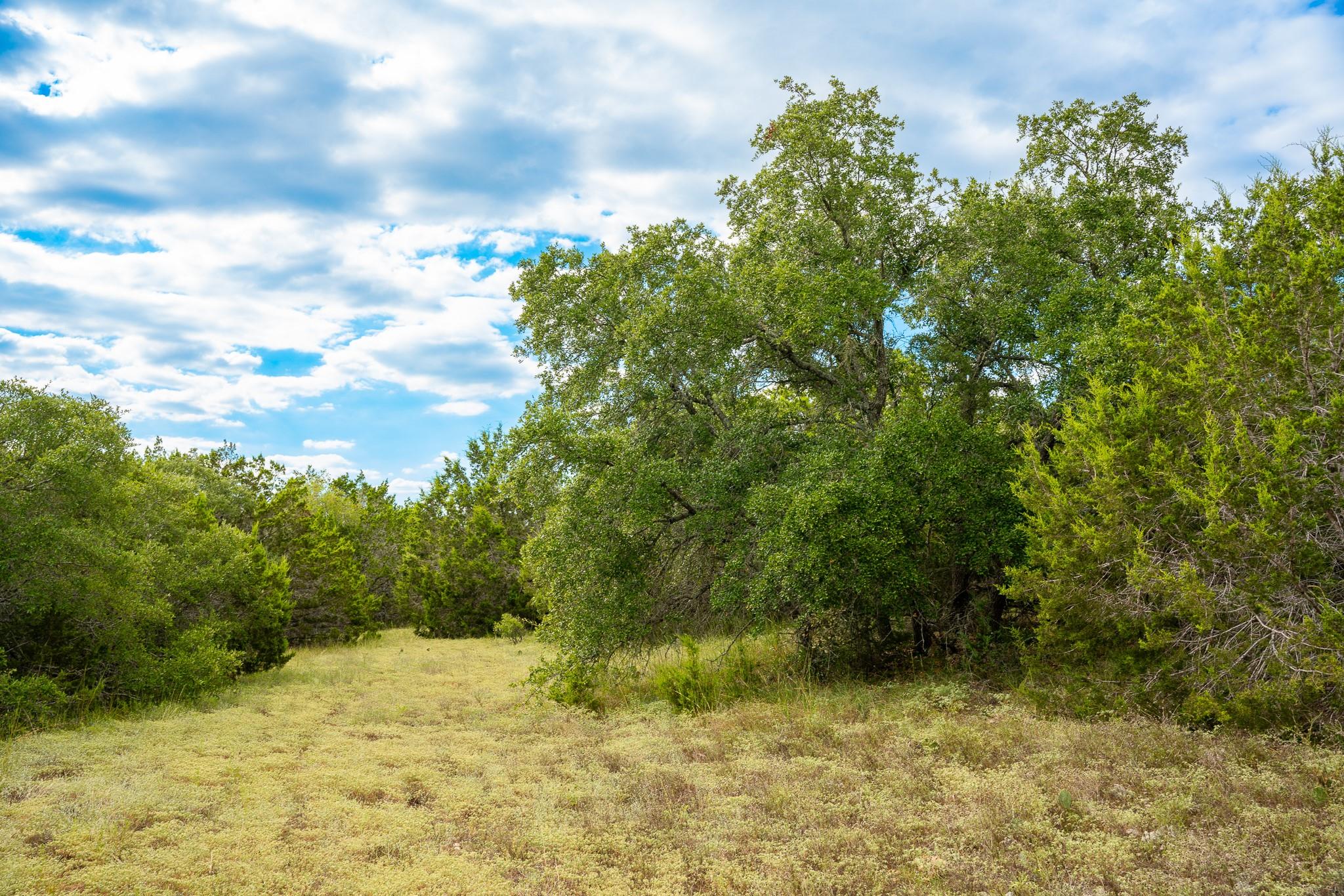 Listing photo 1 of 31171  Ranch Road 12 None