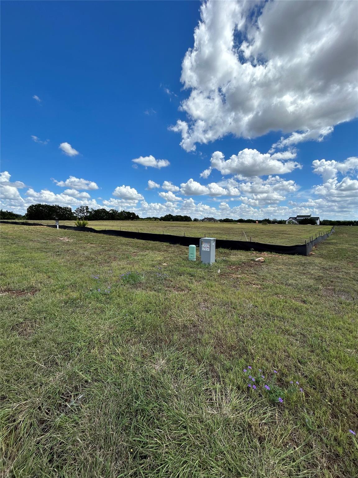 Listing photo 1 of 541  Arborland Dr