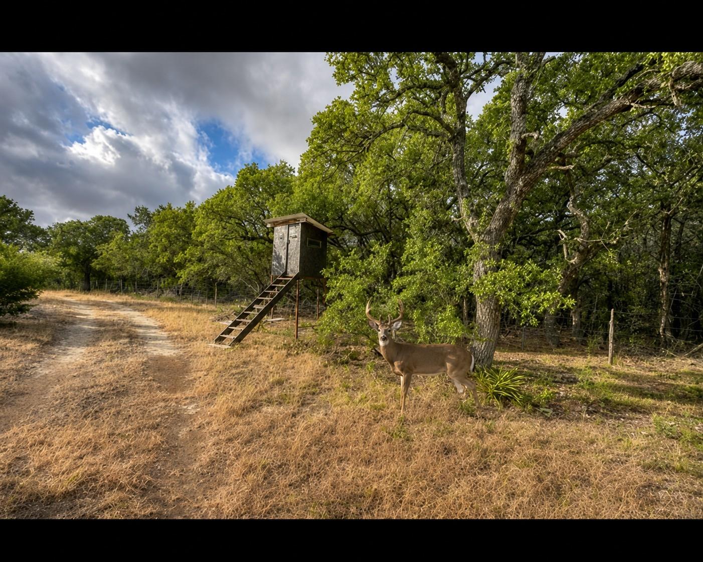 Listing photo 1 of 149  County Road 103 None