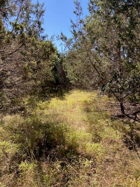 Listing photo 1 of 55  York Creek Rd
