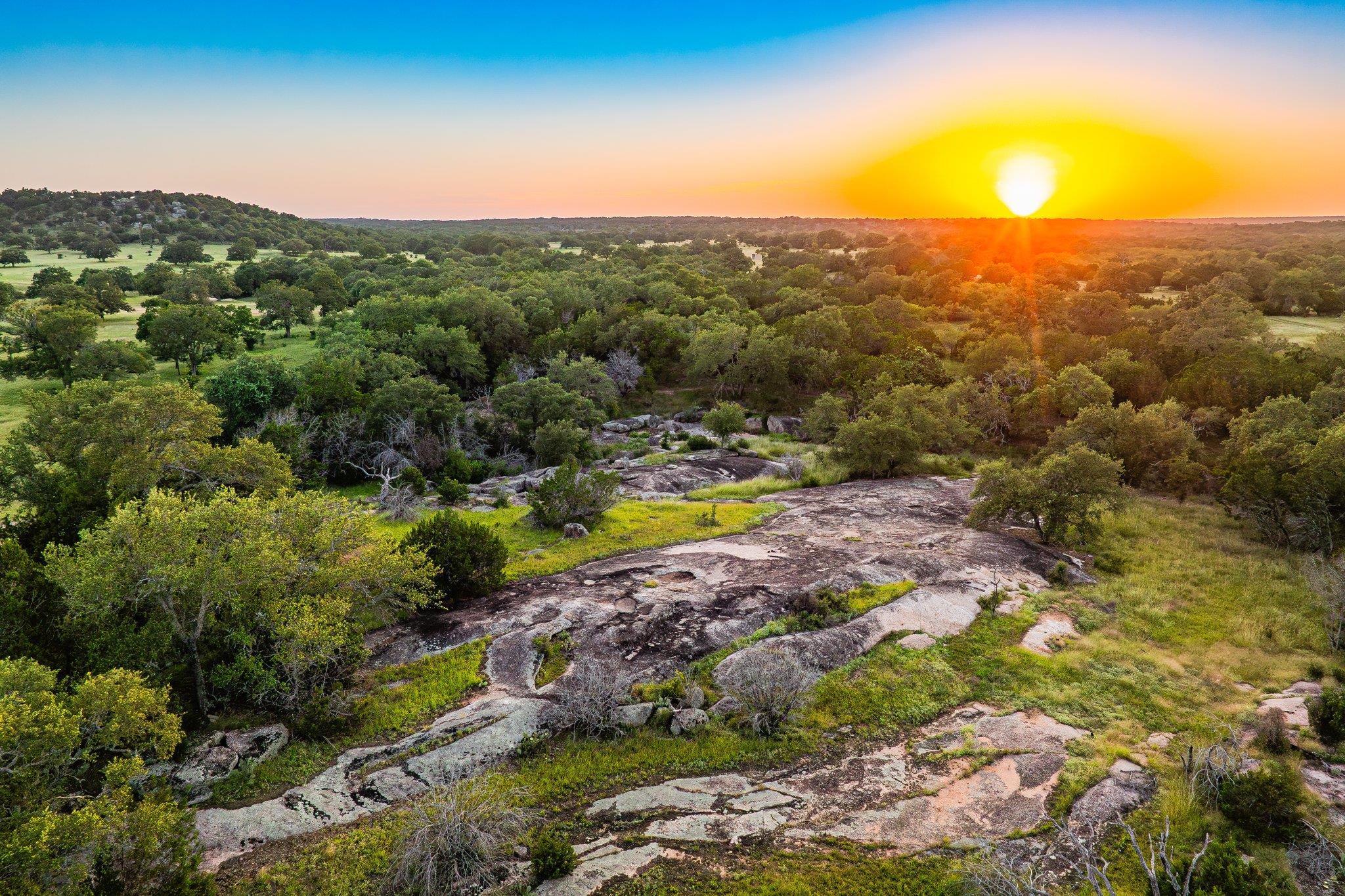 Aerial view at dusk of a view of trees