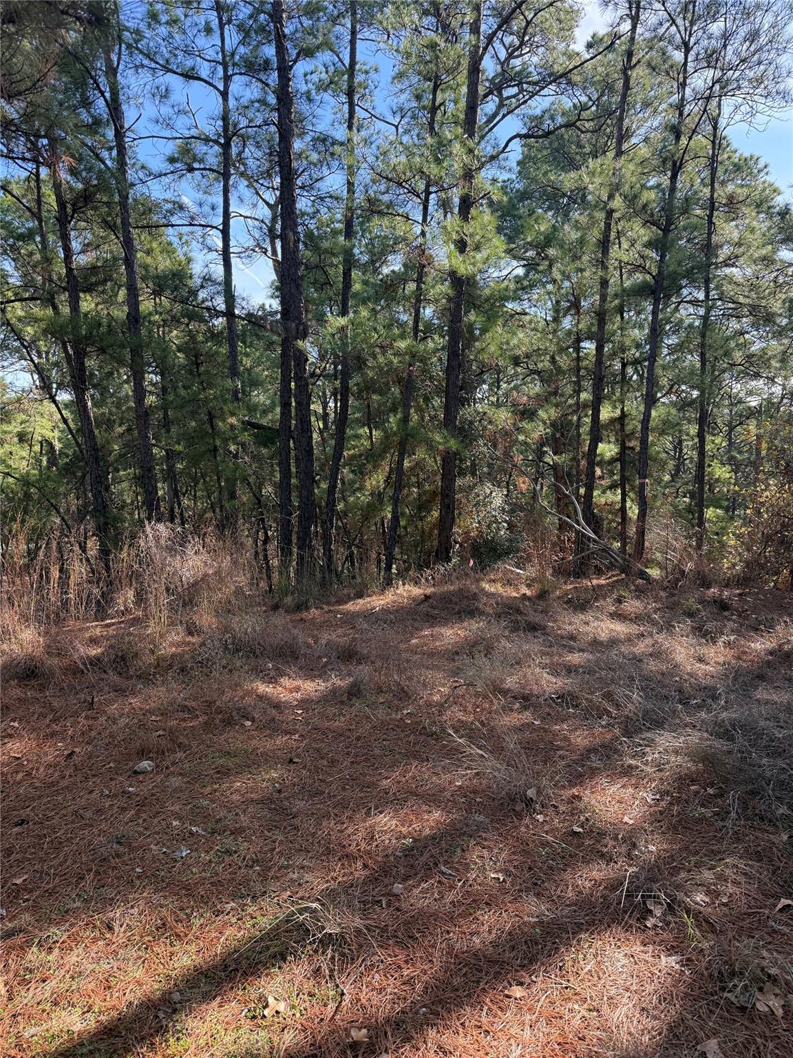 Listing photo 1 of 106  Llio Ct