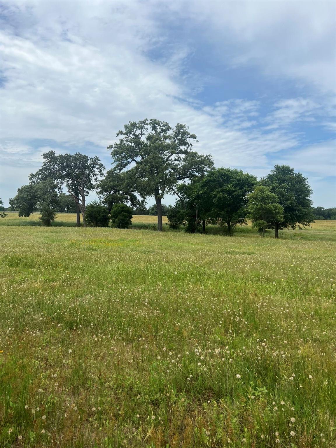Listing photo 1 of TBD2  Davis Rd