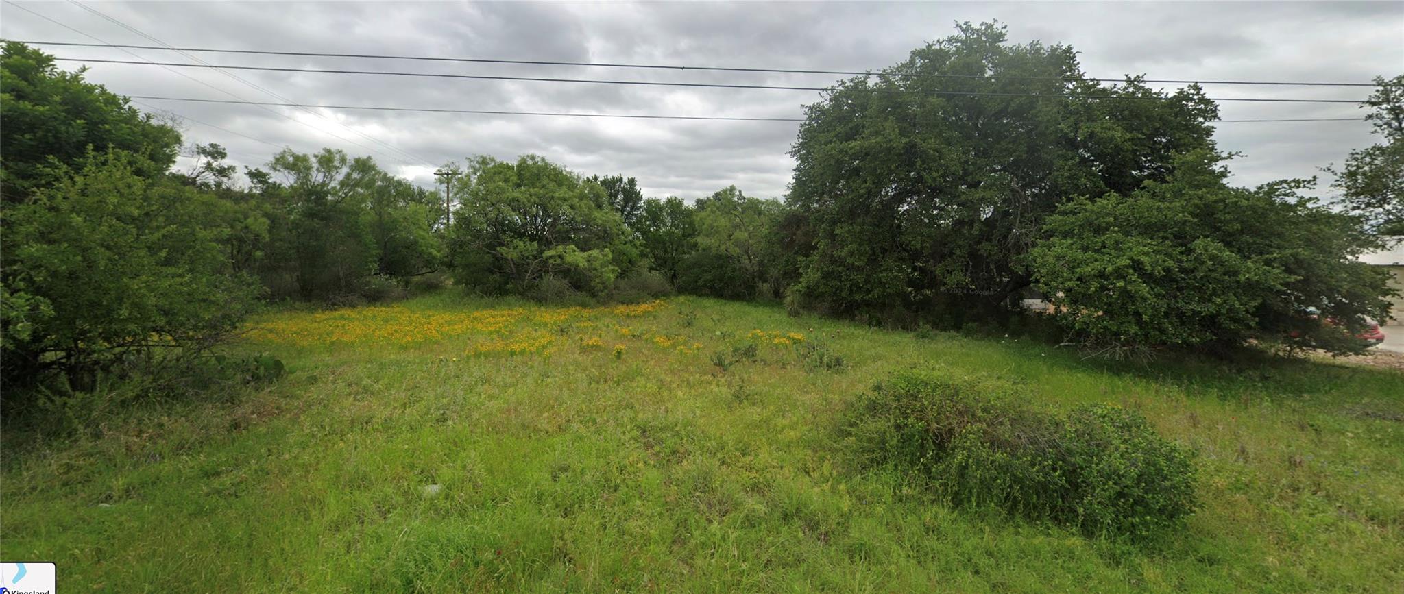 View of nature