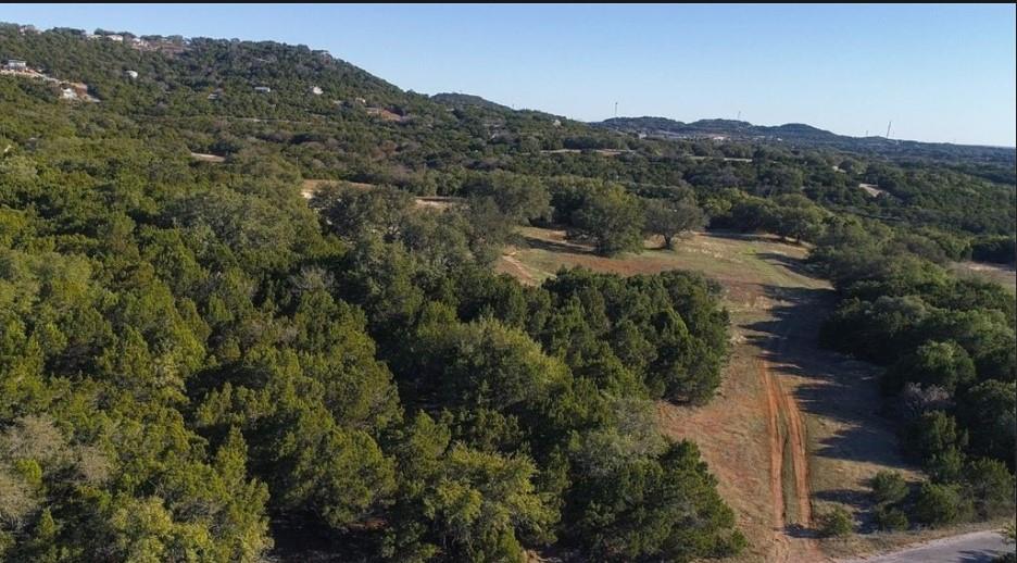 Aerial view featuring a wooded view and a mountai