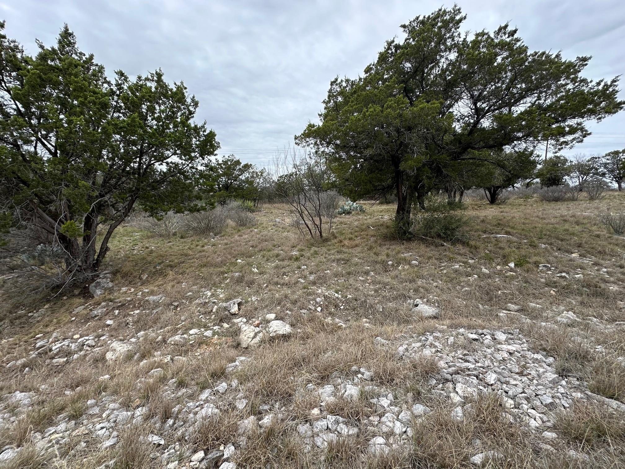 View of local wilderness
