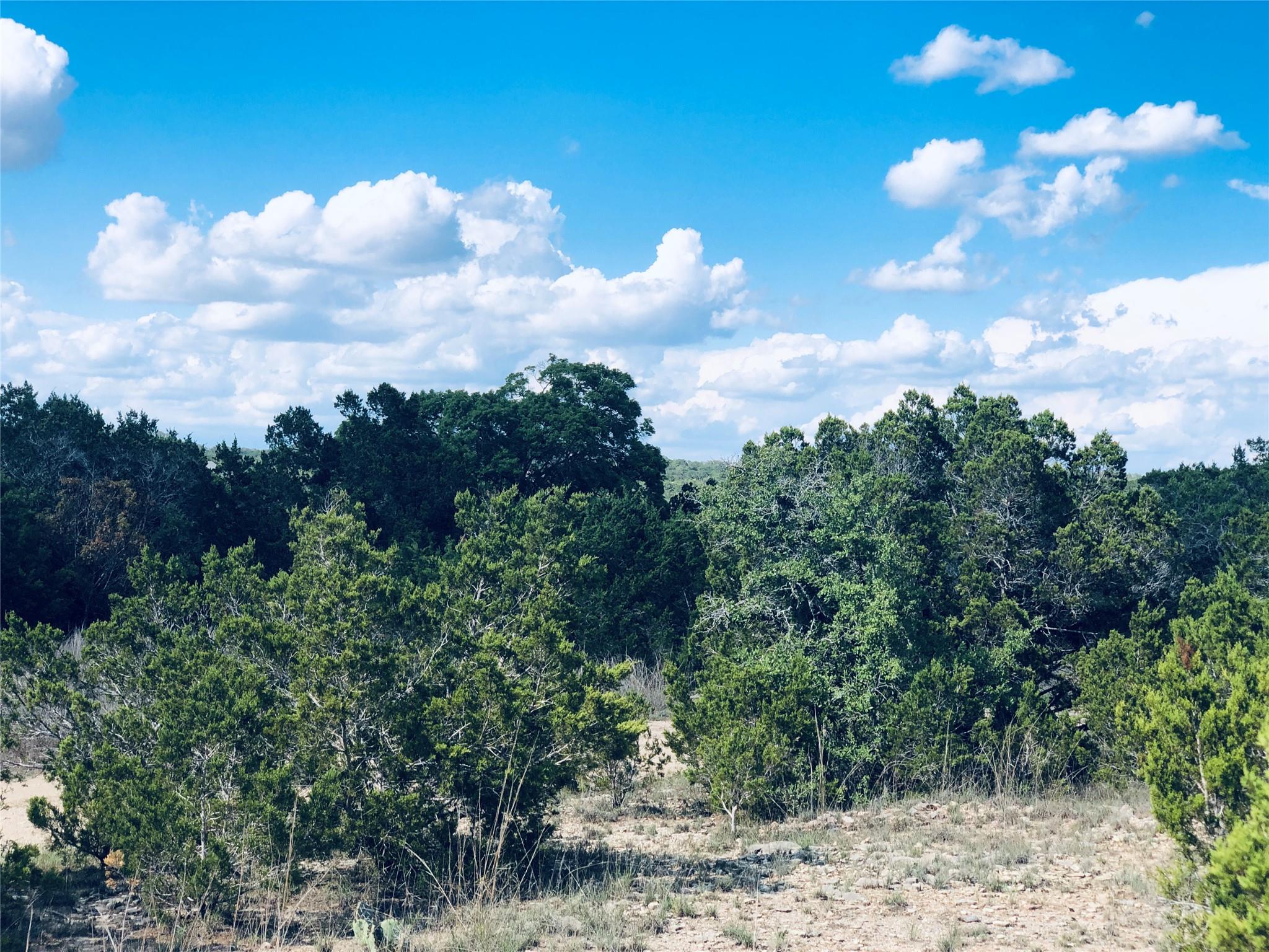 View of nature featuring a forest view