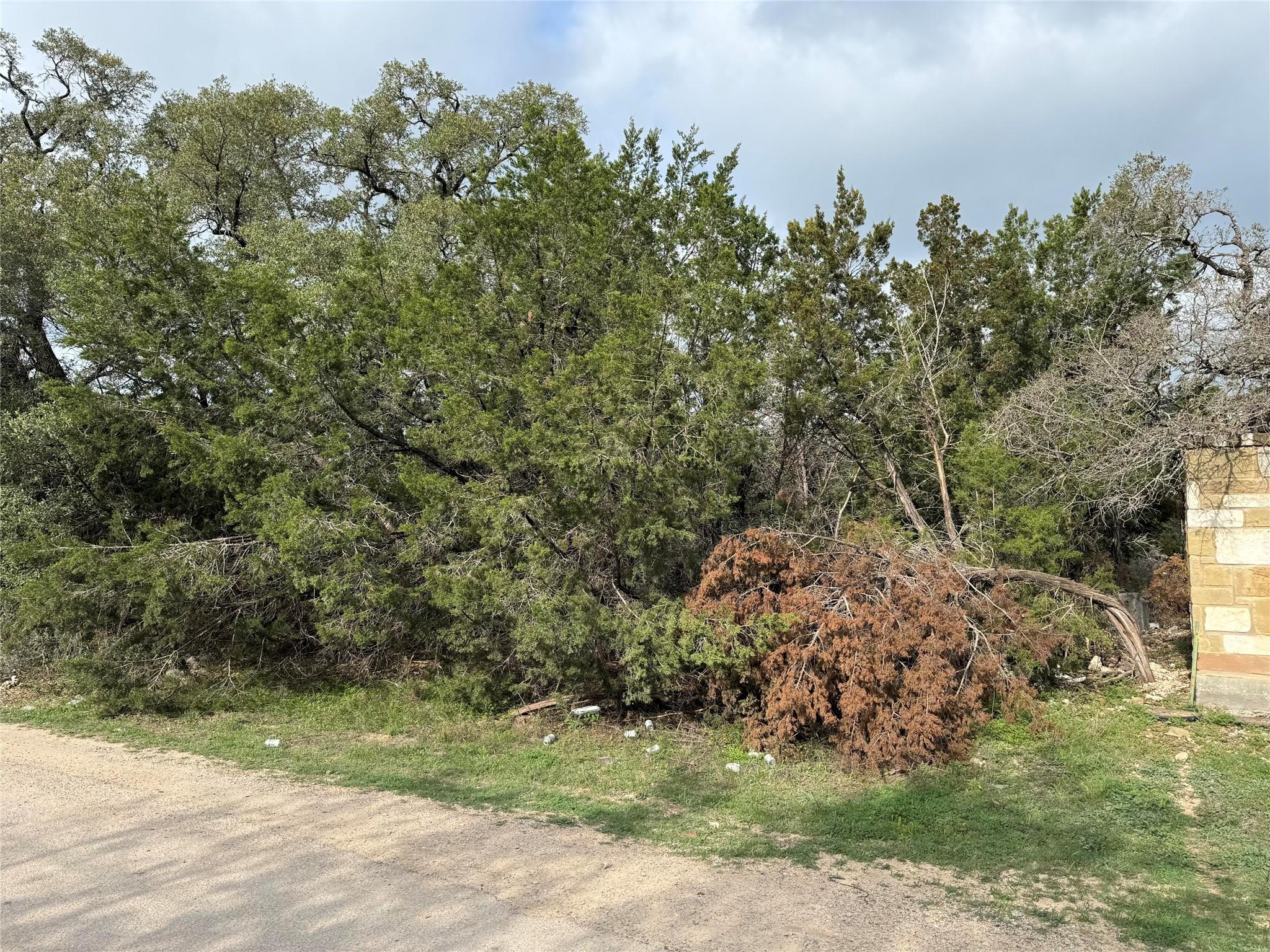 View of local wilderness