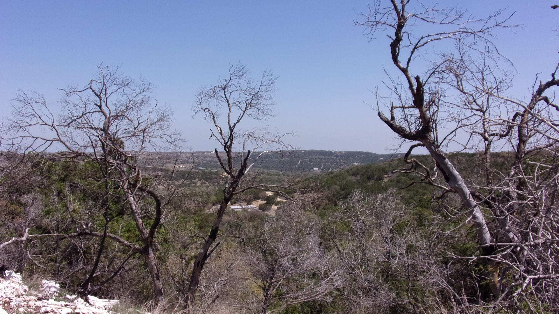 View of mountain feature featuring a view of trees