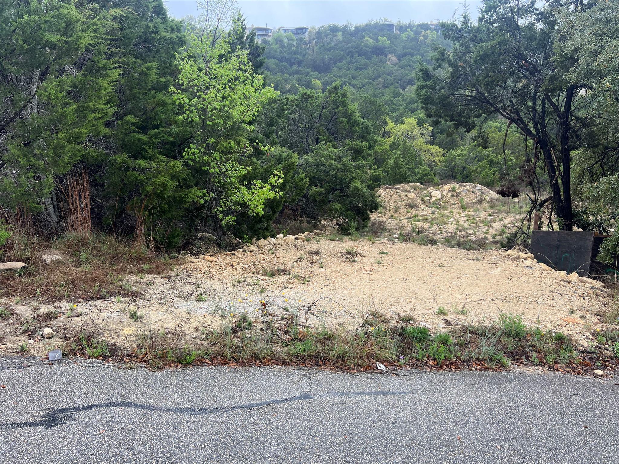 View of local wilderness featuring a forest view