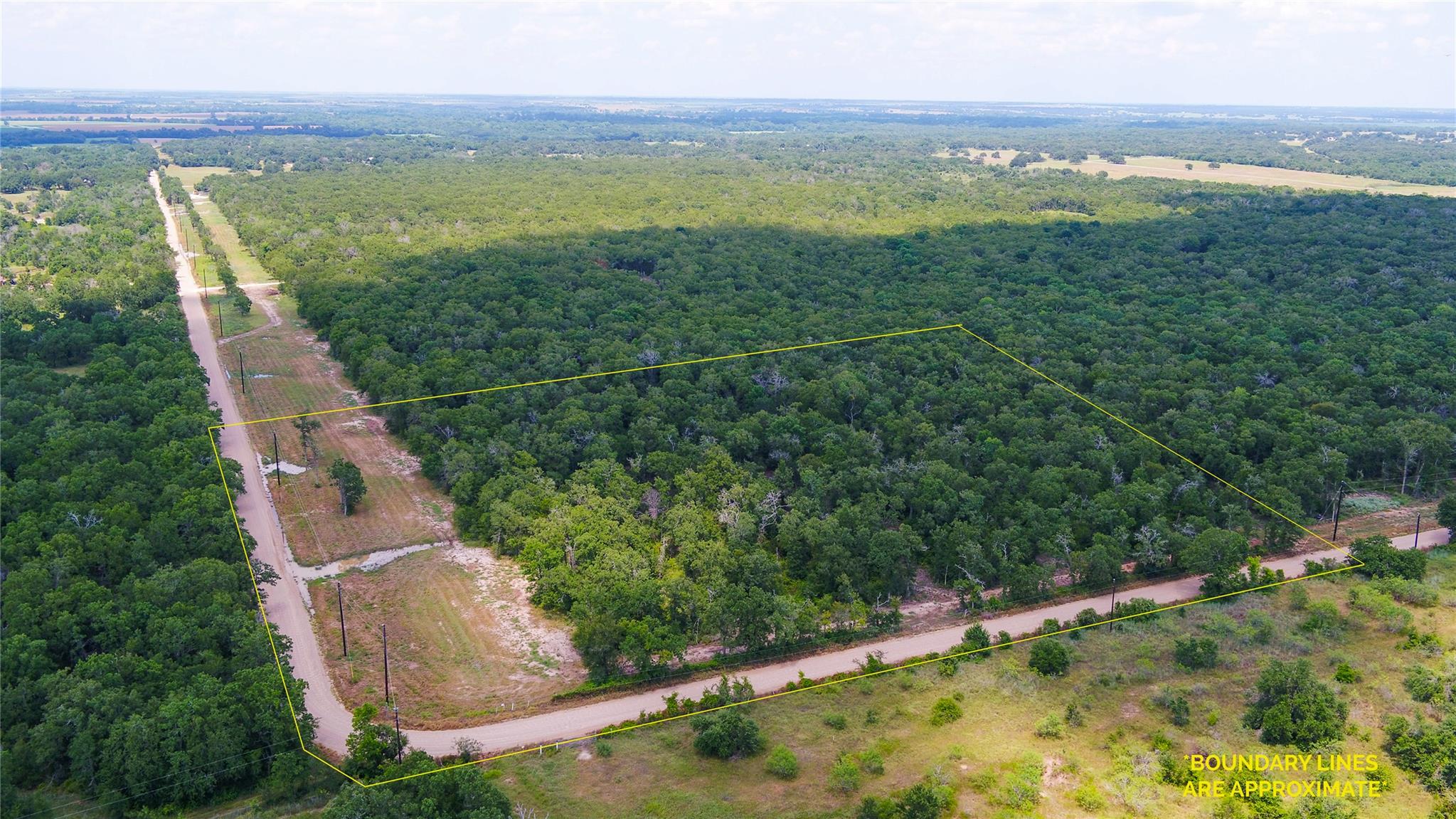 Bird's eye view featuring a rural view and a fore