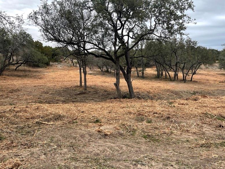A spacious, buildable lot provides a verdant canv