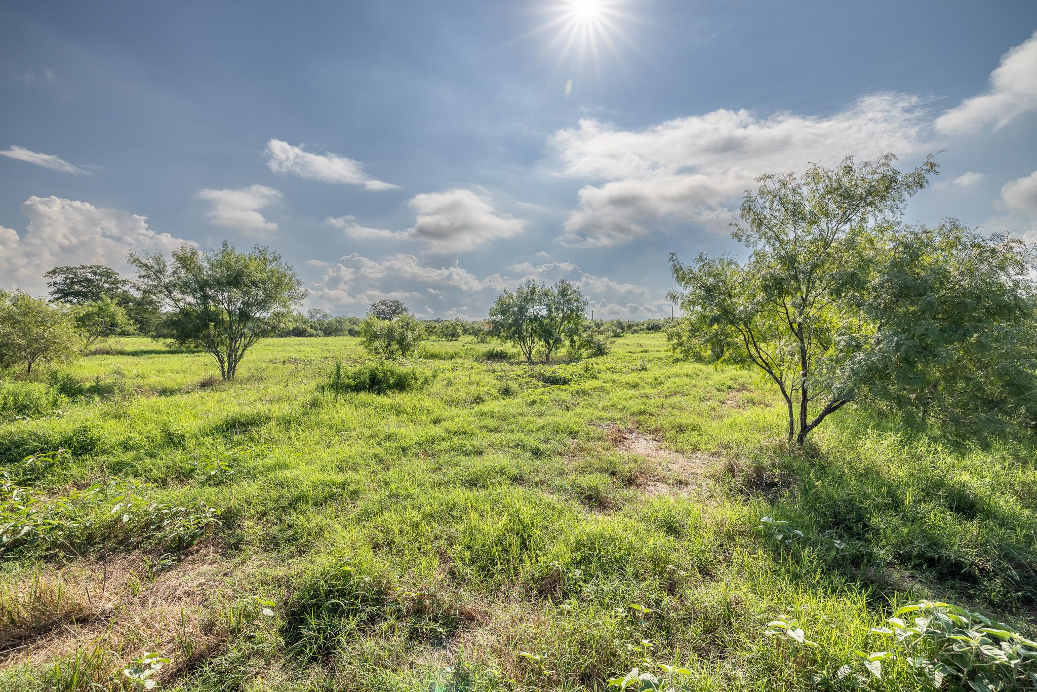 View of nature