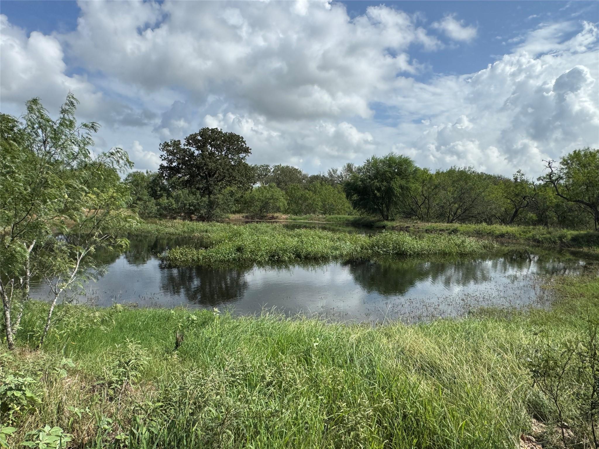 Listing photo 1 of Lot 1-E  County Road 491 None