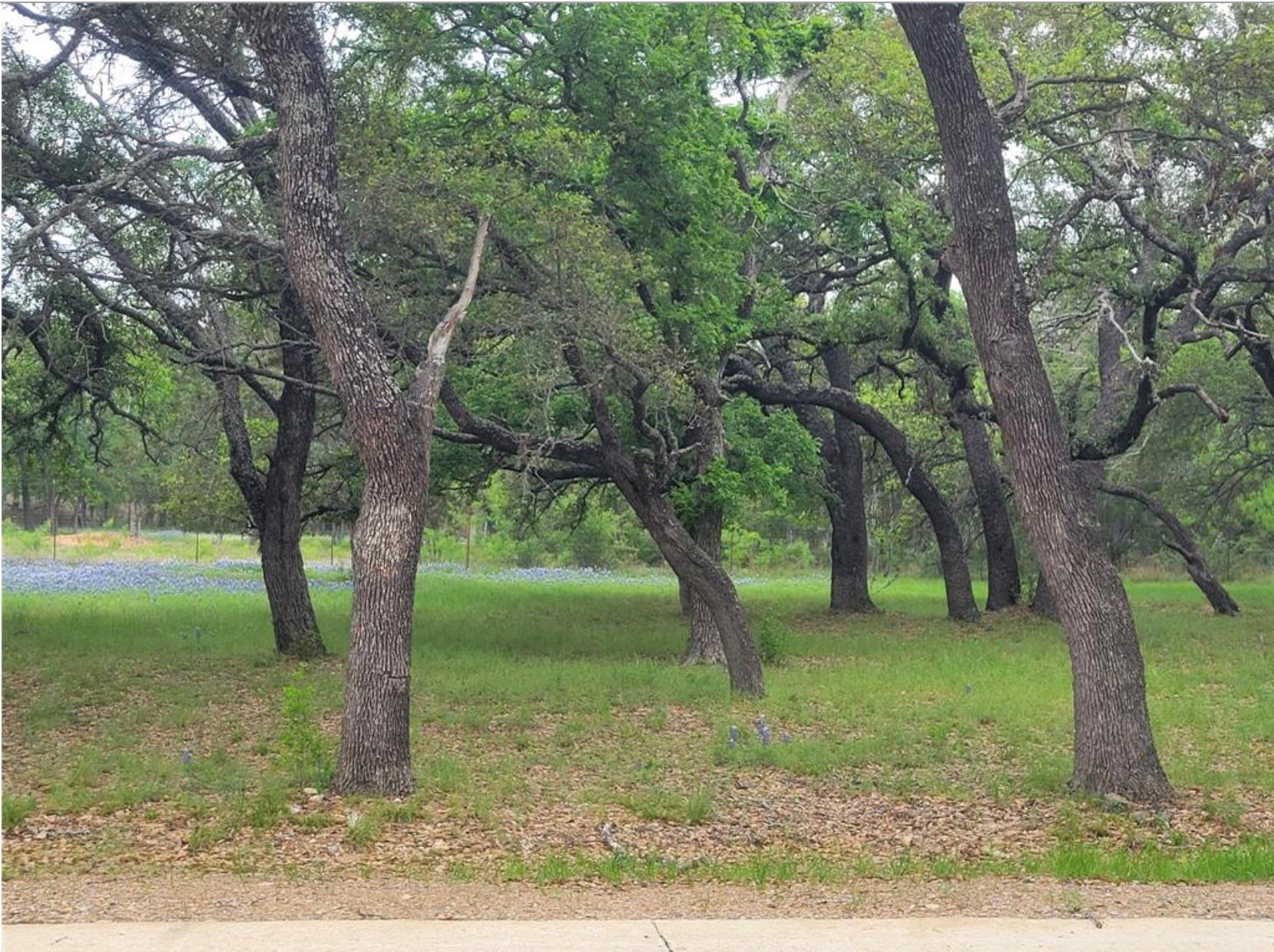 Listing photo 1 of 208  Cactus Cor