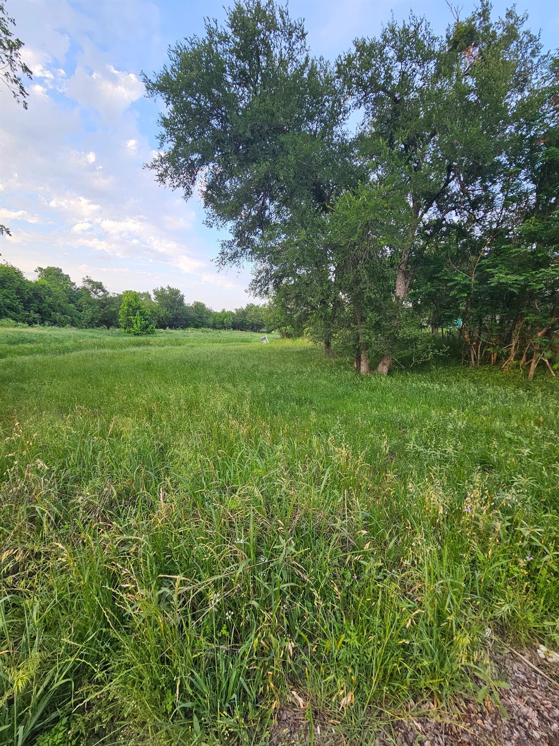 Listing photo 1 of Lot 16 & 17  Ave K Ave