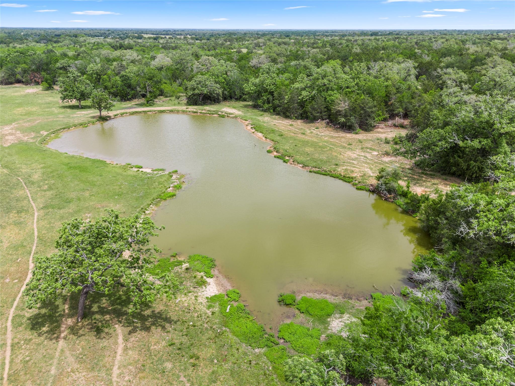 Drone / aerial view with a forest view and a wate