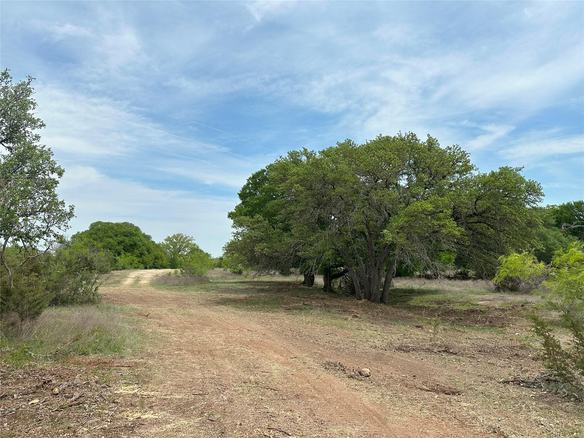 View of nature