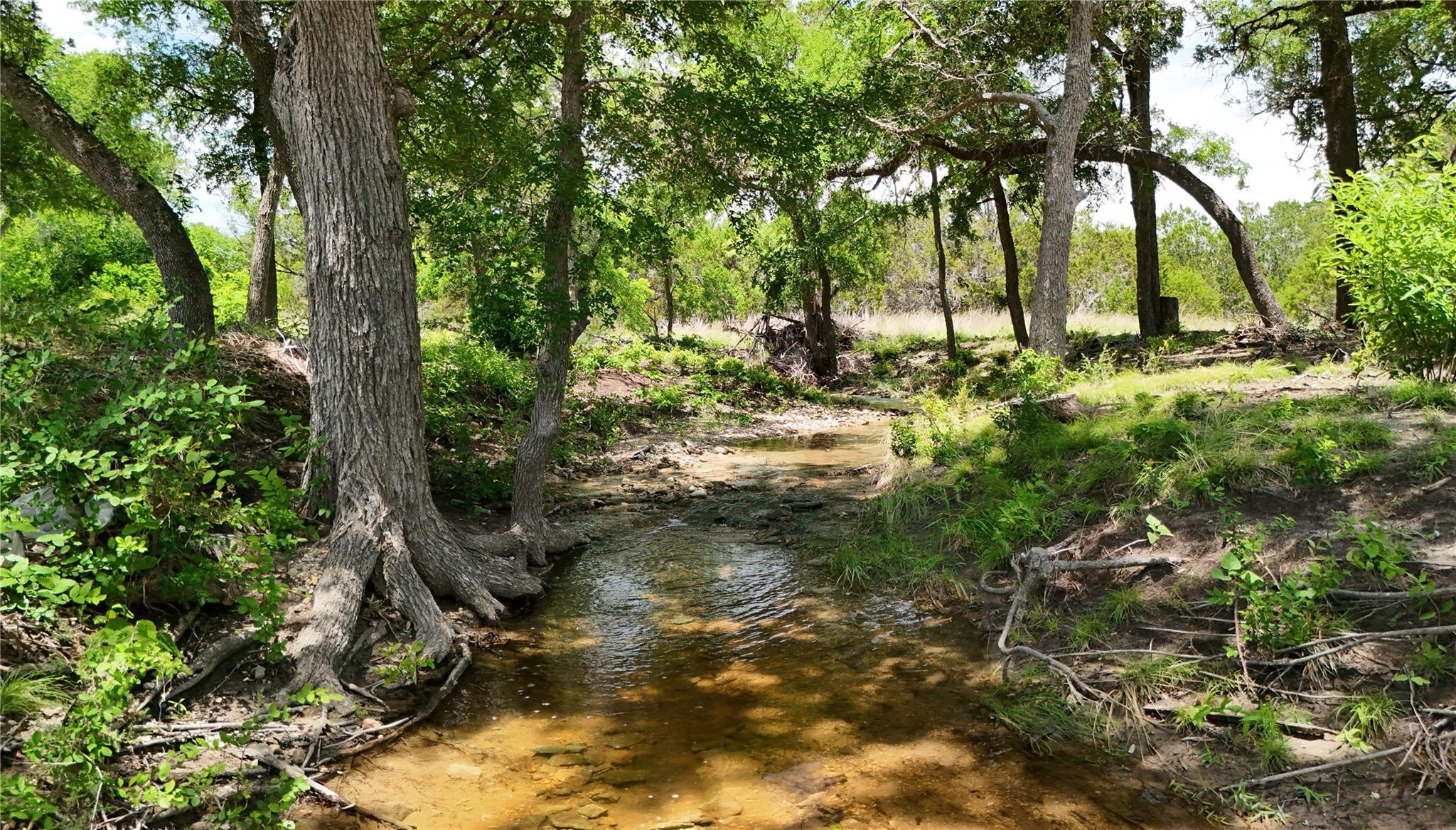 Listing photo 1 of lot 21  Burnet Oaks Dr