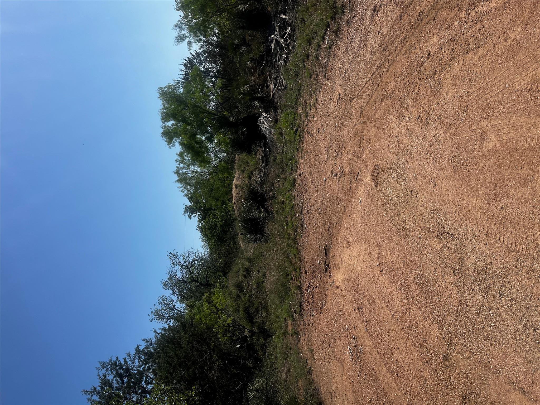 View of nature