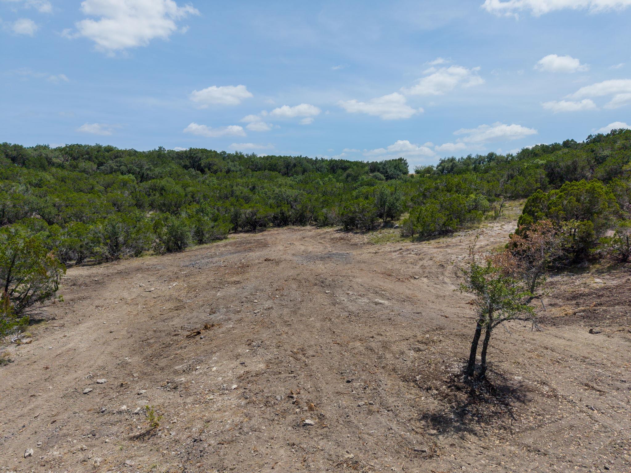A spacious, cleared lot surrounded by verdant tre