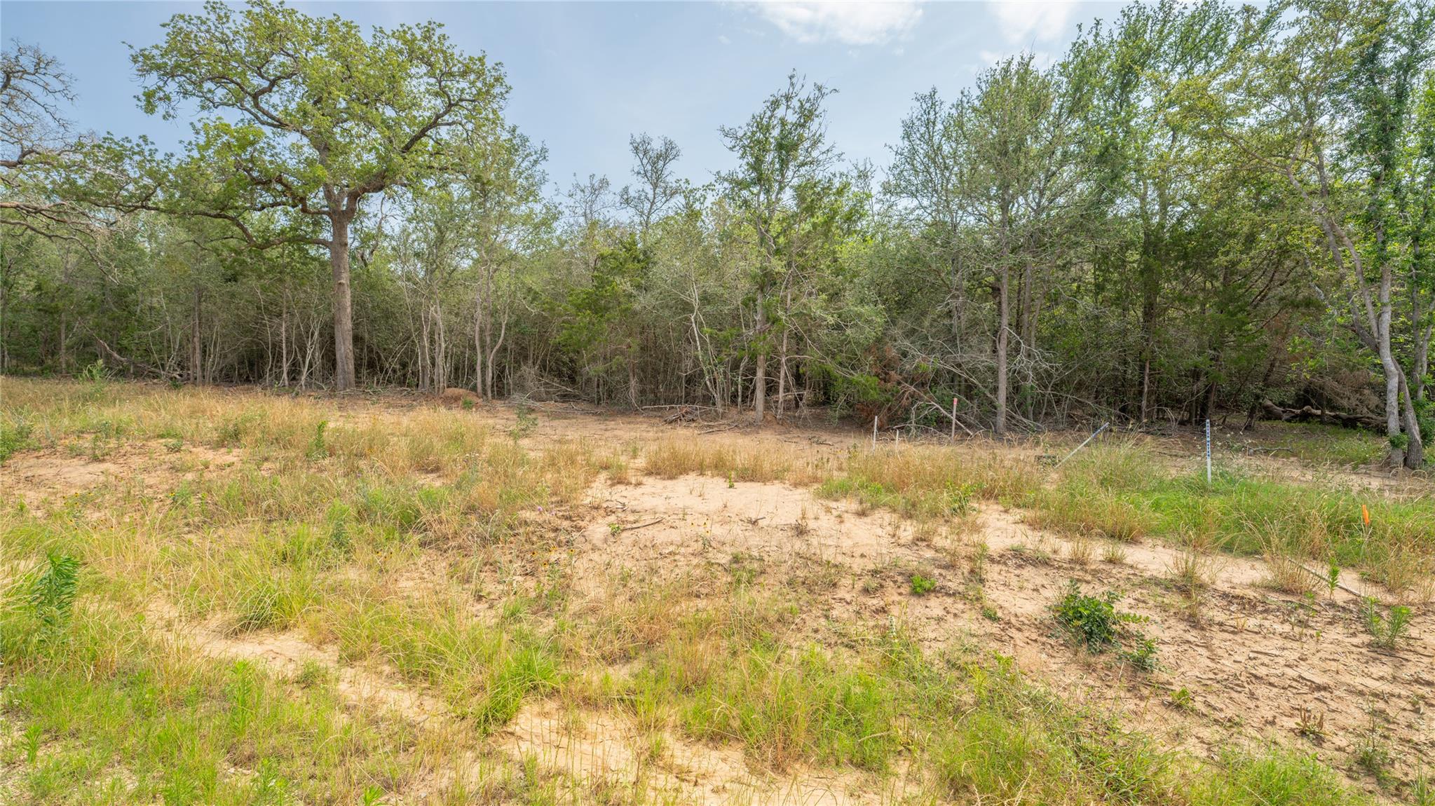 View of wooded area