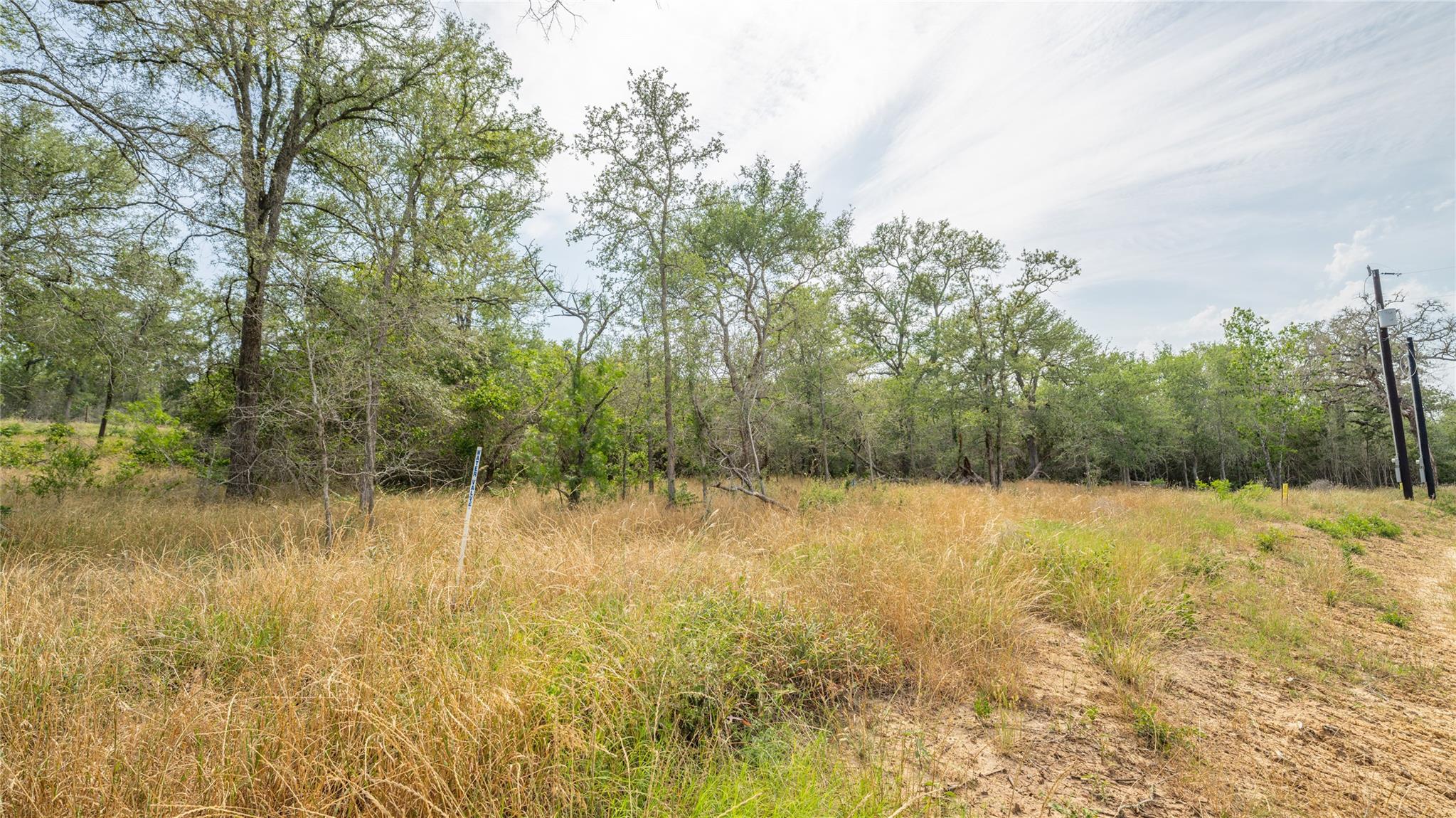 View of local wilderness