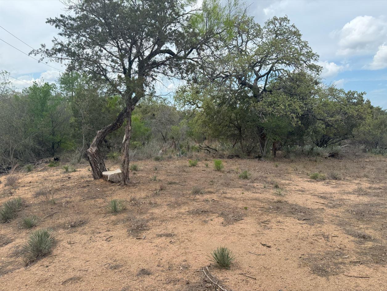 View of undeveloped land
